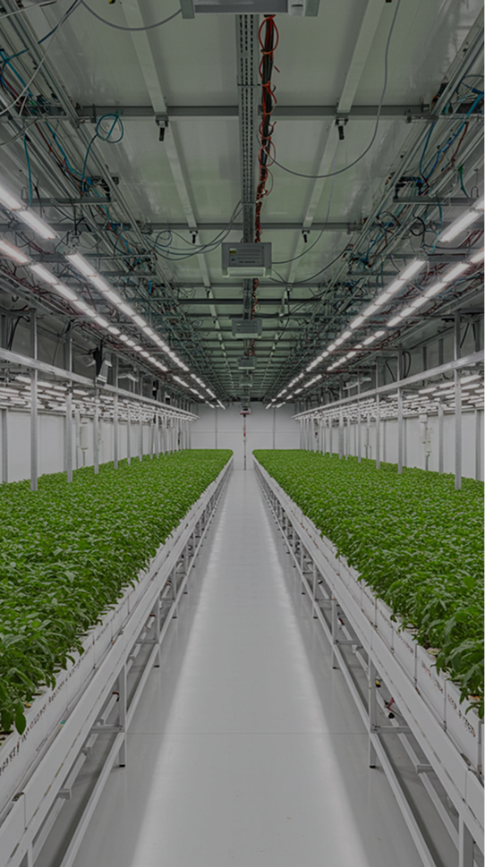 Agriculture / Grow Rooms
